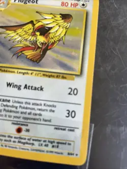 1999 Jungle Pidgeot NO SYMBOL ERROR HOLO Pokemon # 8/64 - Image 5