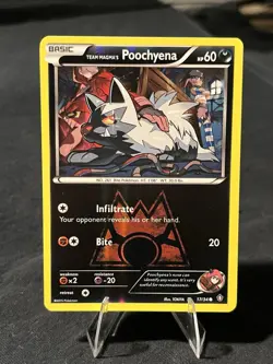 Team Magma's Poochyena 17/34 Double Crisis Reverse Holo NM Condition Pokemon TCG - Image 1