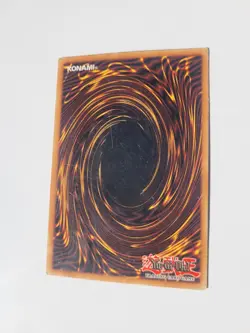 Dark Paladin DMG-001 Duel Master's Guide Limited Edition - Image 3