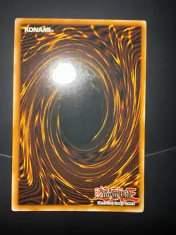 Dark Paladin DMG-001 Duel Master's Guide Limited Edition - Image 2