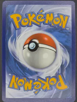 Galarian Moltres SWSH284 - Black Star Promo - Pokemon TCG Crown Zenith - Image 2