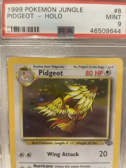 Pokemon TCG PSA 9 Pidgeot 8/64 Jungle Holo Rare Unlimited English 1999 - Image 3