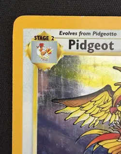 Pidgeot Jungle (No Symbol) 8/64 Holo Rare Unlimited English 1999 Pokemon TCG MP - Image 2