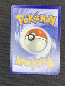 Litten 044 Holo Promo ME: Mega Evolution Promo Pokemon Near Mint - Image 2