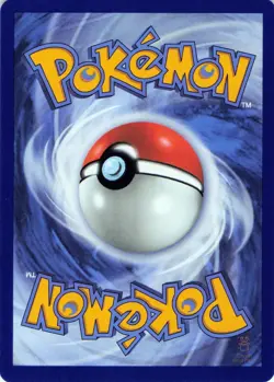 Team Rocket's Kangaskhan ex 162/217 HOLO Ascended Heroes NM - Image 2