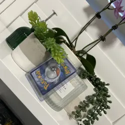 pikachu & zekrom gx 33/181 Pokemon Team Up Sun and Moon NM/M - Image 5