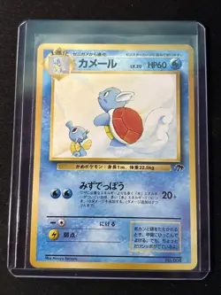 Wartortle Southern Island Regular (Japanese) No. 008 - Image 1