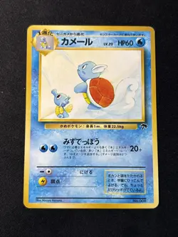 Wartortle Southern Island Regular (Japanese) No. 008 - Image 2