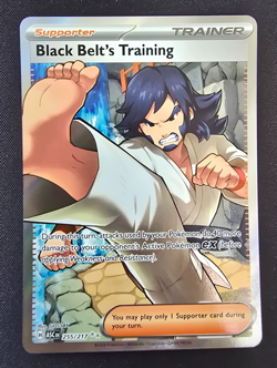 Black Belt's Training 255/217 Ascended Heroes NM pokemon - Image 1