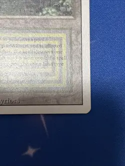 MTG Bayou Revised Edition Regular Rare - Image 3
