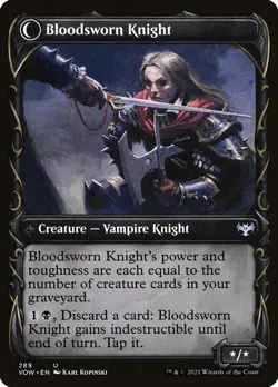 Bloodsworn Squire (Showcase) #289 (Foil) (NM) Crimson Vow VOW Magic MTG - Image 2