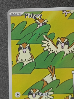 Pokemon TCG Pidgey 207/197 Obsidian Flames IR Illustration Rare Card NM - Image 2