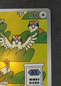 Pokemon TCG Pidgey 207/197 Obsidian Flames IR Illustration Rare Card NM - Image 3