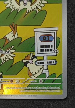 Pokemon TCG Pidgey 207/197 Obsidian Flames IR Illustration Rare Card NM - Image 5