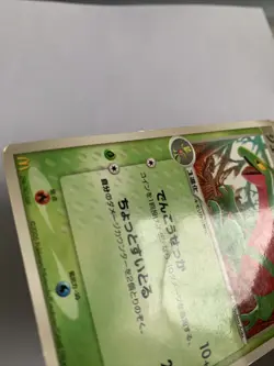 Pokemon Card / Carte Grovyle Promo 081/PCG-P - - Image 5