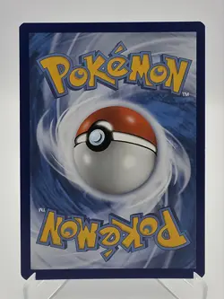 Squirtle SWSH233 Sword & Shield Black Star Promo Card Pokemon TCG - Image 2