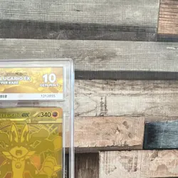 Pokemon TCG Mega Lucario EX 102/108 Mega Hyper Rare Full Art Ace 10 Perfect Subg - Image 2