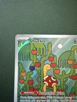 Shuckle 136/132 - ME01: Mega Evolution Pokemon Illustration Rare Holo - Image 3