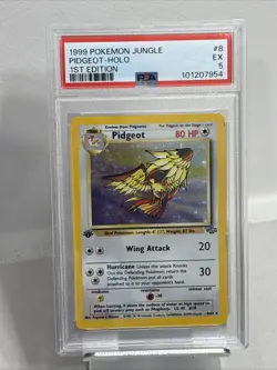 Pokemon Pidgeot Holo Rare 1st Edition Jungle #8 Excellent PSA 5 - Image 1