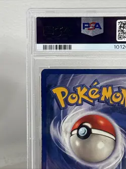 Pokemon Pidgeot Holo Rare 1st Edition Jungle #8 Excellent PSA 5 - Image 3
