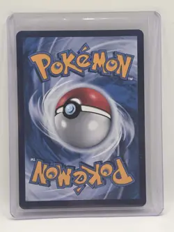 Nintendo Raging Bolt ex 244/204 SAR Full Art Foil SV7 Chinese Pokemon TCG - Image 2