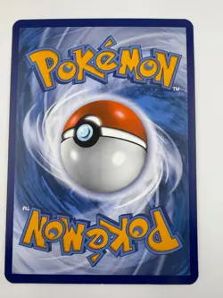 Pokemon TCG CELEBRATIONS 25th Anniversary Kanto First Partner Pack Jumbo Promo - Image 5