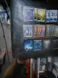Magic: The Gathering full art Land Lot - Image 2
