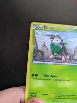 Near Mint - Skiddo XY11 - Black Star Promo - Pokemon Card - Image 3
