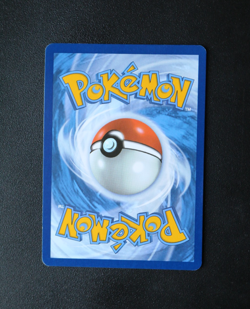 Pokemon Card TCG - Riolu MEP 010 - Mega Evolution - Black Star Promo - NM ⭐ - Image 2