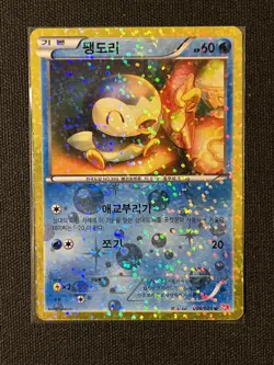 Pokemon Card - SC Piplup 006/020 - Korean - GOLD Border Exclusive NM - Image 1
