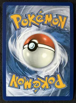 Dachsbun ex - 169/142 Stellar Crown Special Illustration Rare Pokemon TCG - Image 4