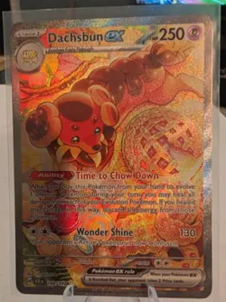 Dachsbun ex 169/142 - Stellar Crown - SIR - Pokemon TCG Near Mint - Image 1