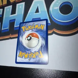 Dachsbun ex 169/142 Special Illustration Rare Stellar Crown Pokemon Near Mint - Image 4