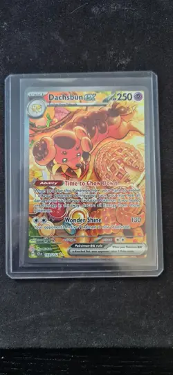 Dachsbun ex 169/142 SIR Stellar Crown Pokemon English Near Mint Holo - Image 1