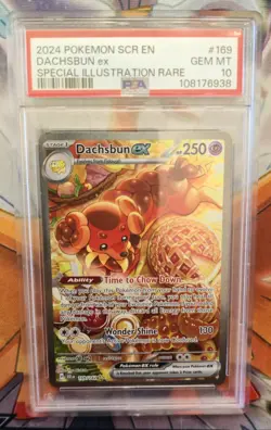PSA 10 - Dachsbun ex 169/142 - Special Illustration Rare -Pokemon: Stellar Crown - Image 1