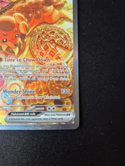 Dachsbun ex 169/142 Special Illustration Rare Stellar Crown Pokemon NM - Image 3