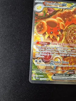 Dachsbun ex 169/142 Special Illustration Rare Stellar Crown Pokemon NM - Image 4