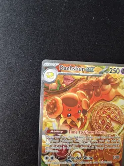Dachsbun ex 169/142 Special Illustration Rare Stellar Crown Pokemon NM - Image 5