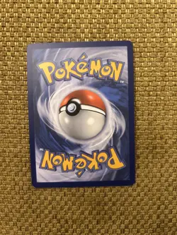 Dachsbun ex 169/142 Special Illustration Rare Stellar Crown Pokemon NM - Image 2