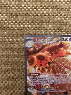 Dachsbun ex 169/142 Special Illustration Rare Stellar Crown Pokemon NM - Image 4