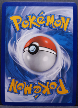 Surfendes Pikachu VMAX 009/025 Celebrations Pokemon Pokemon Karte Deutsch NM - Image 2
