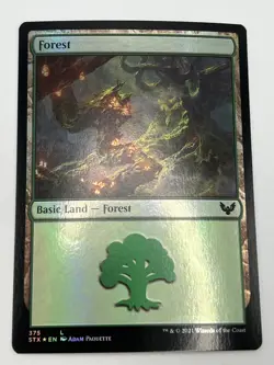 Forest (375) Foil Strixhaven: School of Mages x1 1x STX MTG Magic NM - Image 1