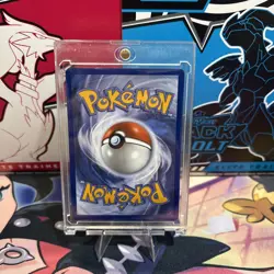 Frogadier 089/086 – Illustration Rare (NM/M) Chaos Rising – Pokemon card - Image 2