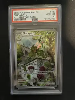 2023 POKEMON PAL EN-PALDEA EVOLVED ILLUSTRATION RARE #197 FLORAGATO PSA 10 - Image 1