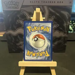 Pokemon TCG Dewgong 097/094 Illustration Rare Phantasmal Flames Mint - Image 2