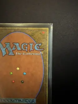 Taiga Revised Edition Dual Land English MTG Magic the Gathering 1994 - Image 4