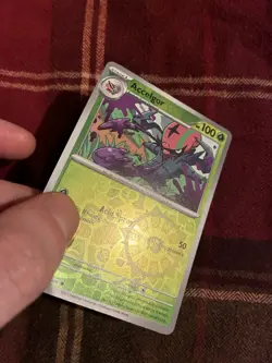 WHT 009/086 Accelgor Holo Pack Fresh Pokemon Card 🫶 - Image 3