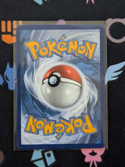 Larry's Staraptor [249/217] Ascended Heroes (Illustration Rare) (Pack Fresh) - Image 2
