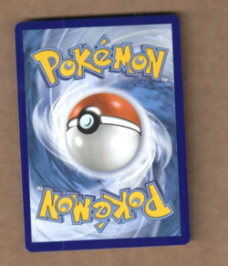 Mega Zeraora ex 114/084 Me05: Pitch Black Holo, Special Illustration Rare - Image 2