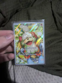 Pokemon TCG Hisuian Growlithe Illustration Rare Twilight Masquerade 181/167 NM - Image 1